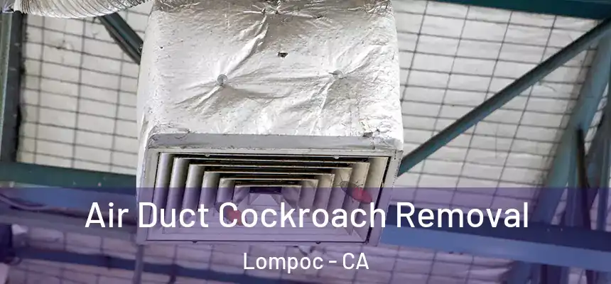 Air Duct Cockroach Removal Lompoc - CA