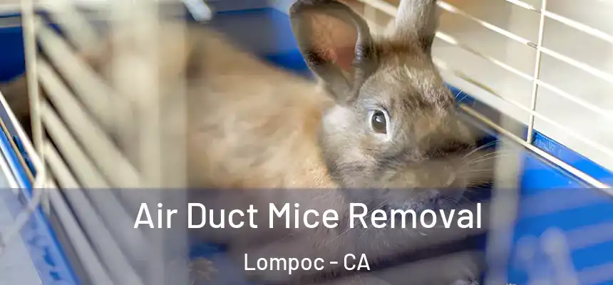 Air Duct Mice Removal Lompoc - CA