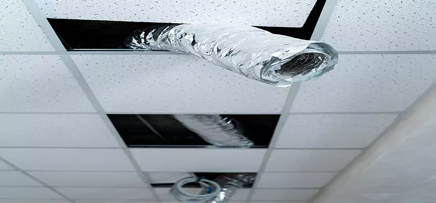 Our Air Duct Pet Hair Removal Services in Lompoc, CA