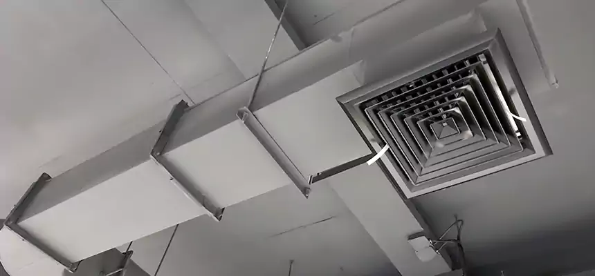 Our Pest Removal From Ducts Services in Lompoc, CA