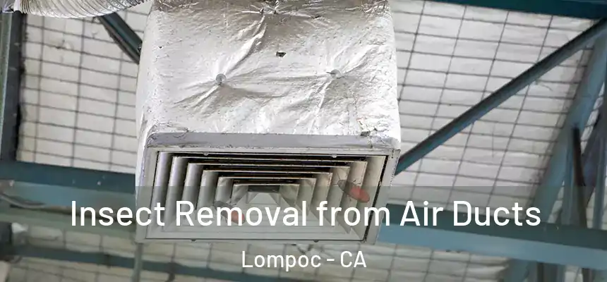 Insect Removal from Air Ducts Lompoc - CA