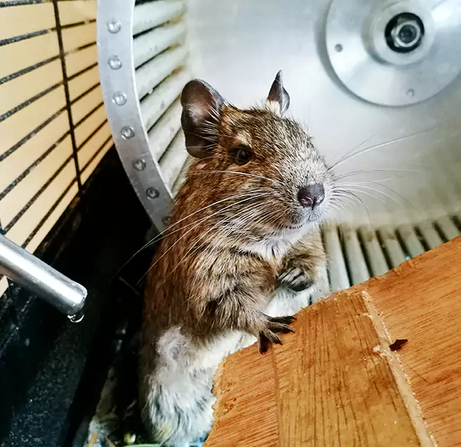 Why Homeowners & Businesses Trust Us Lompoc, CA