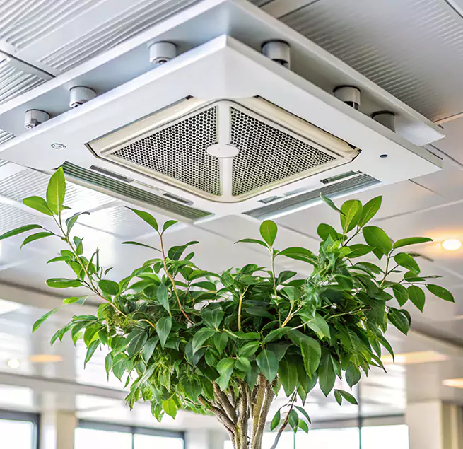 Why Homeowners & Businesses Trust Us in Lompoc, CA?